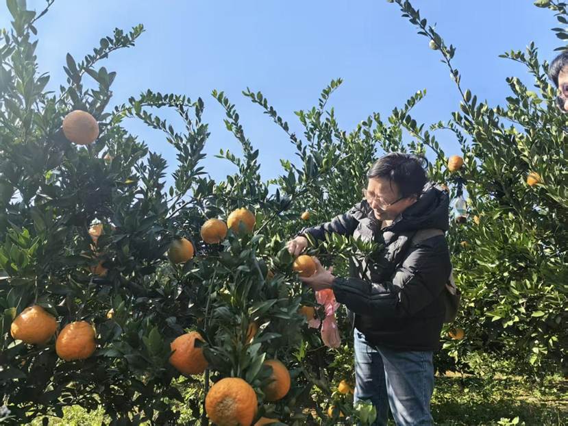 3b4f64100c4b5ab729841c1402564f1c