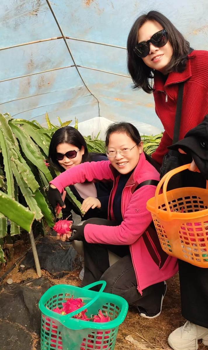 49f1cf00e151d02042b865e43356656a